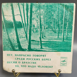 Пластинка "Нет, напрасно говорят среди русских берез песня о братстве, то что надо" изд: Мелодия. Картинка 1